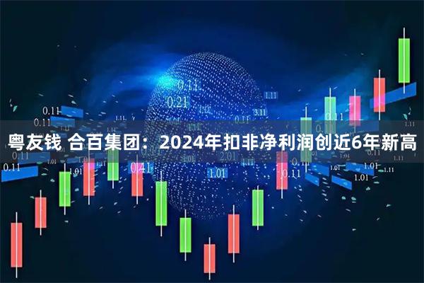粤友钱 合百集团：2024年扣非净利润创近6年新高