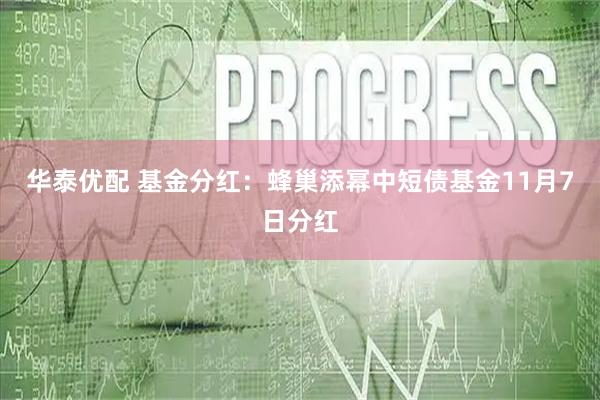 华泰优配 基金分红：蜂巢添幂中短债基金11月7日分红