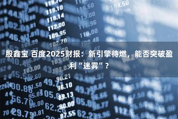 股鑫宝 百度2025财报：新引擎待燃，能否突破盈利“迷雾”？