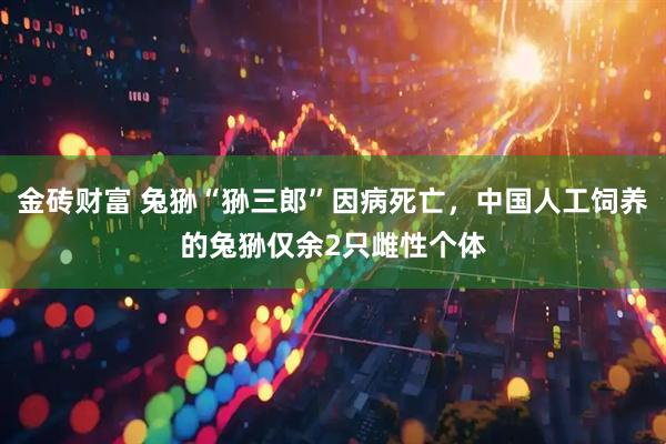 金砖财富 兔狲“狲三郎”因病死亡，中国人工饲养的兔狲仅余2只雌性个体
